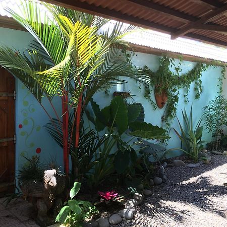 Sueno Grande B&B Puerto Viejo de Talamanca Eksteriør bilde
