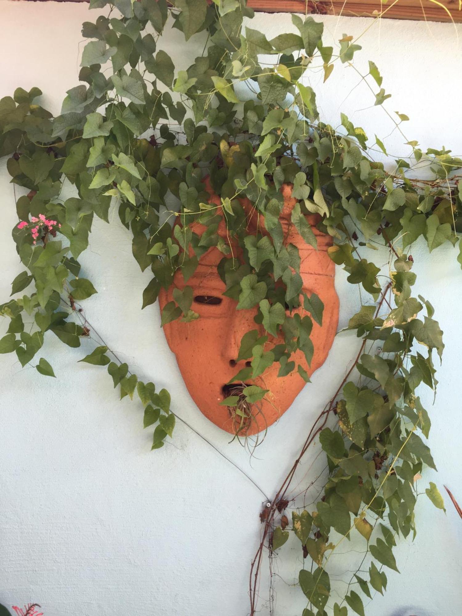 Sueno Grande B&B Puerto Viejo de Talamanca Eksteriør bilde