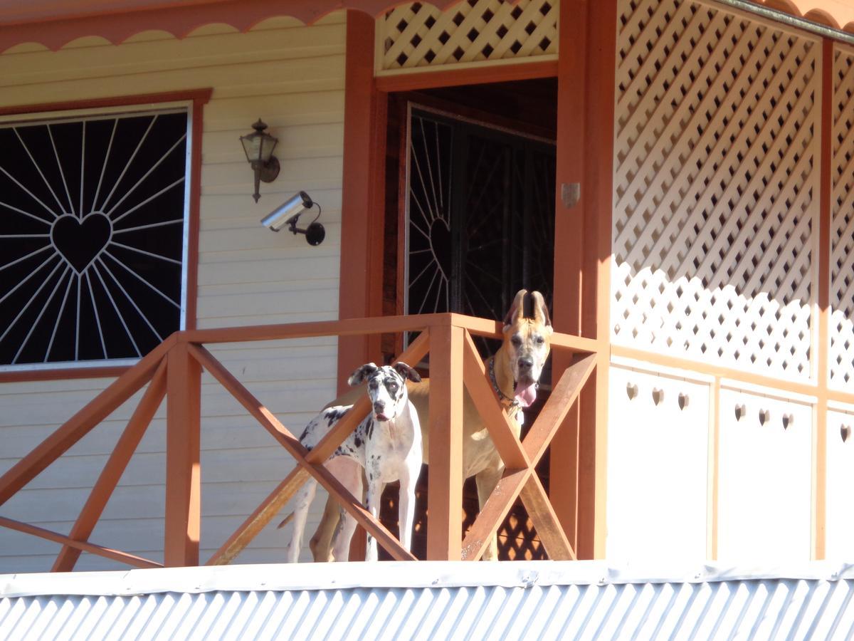 Sueno Grande B&B Puerto Viejo de Talamanca Eksteriør bilde