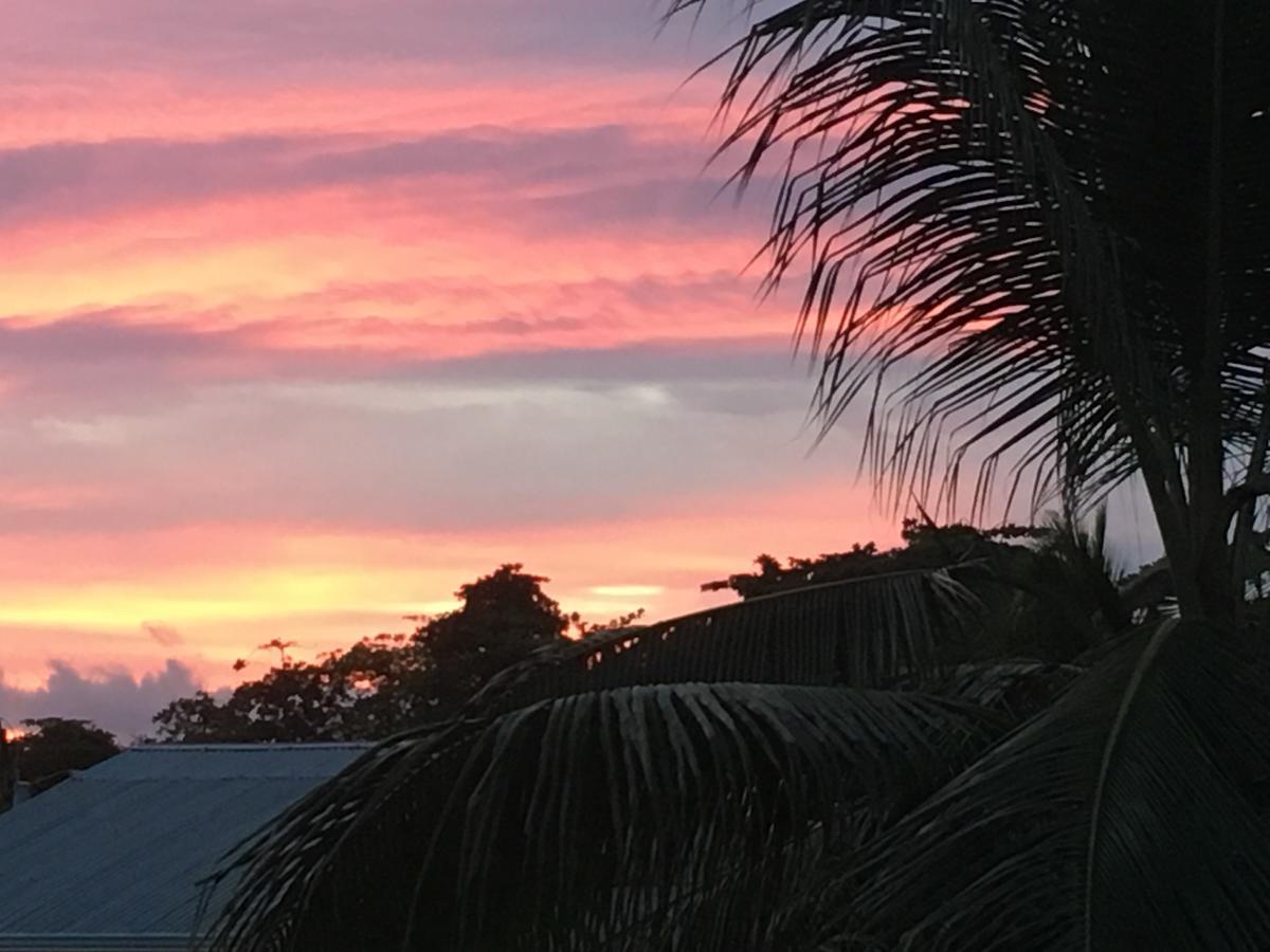 Sueno Grande B&B Puerto Viejo de Talamanca Eksteriør bilde